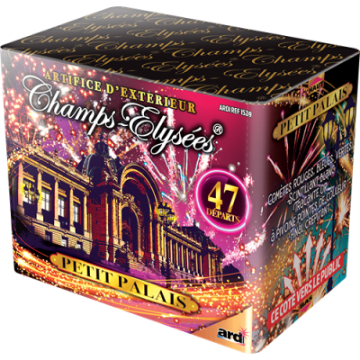 Champs Elysées Petit Palais